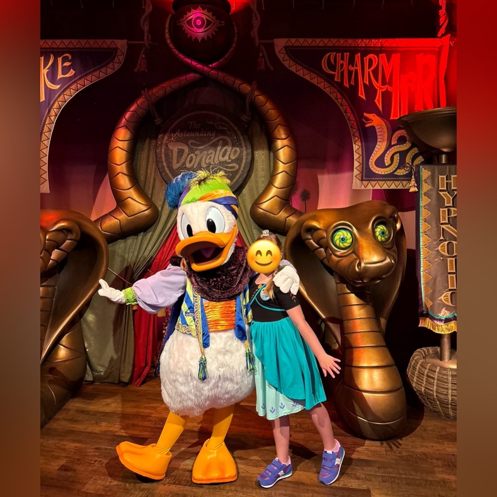 Disney World Princess Anna dress